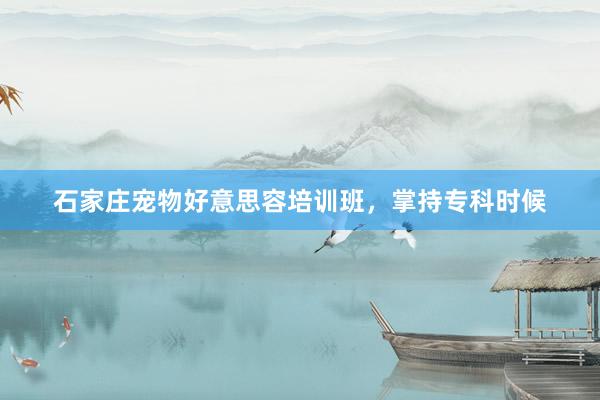 石家庄宠物好意思容培训班，掌持专科时候